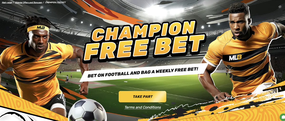Melbet Bookmaker